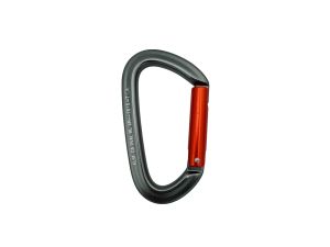 ELSF-CA-OVAL-NL_0