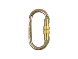 ELSF-CS-OVAL_0